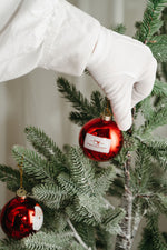 Santa Globe Ornaments (2 or 4 pack)