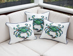 Crab Craze Beach Towel + Outdoor King Crab Lumbar Pillow Bundle